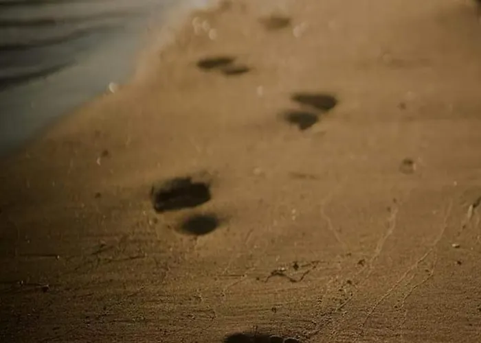 Endy Ploce (Dubrovnik-Neretva)