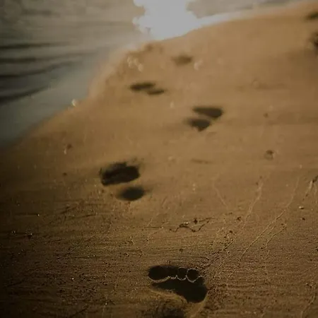 Endy Ploce (Dubrovnik-Neretva)